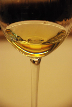 Paccot_memoire_du_vin_suisse