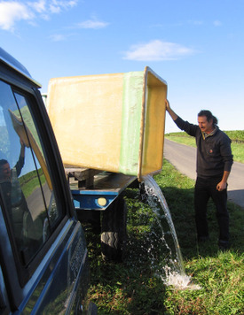 Burgdorfer_grapeharvest