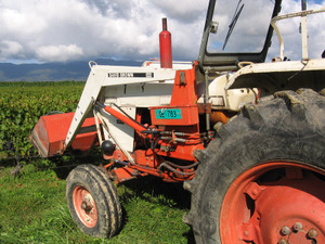 Domaine_du_paradis_harvest4