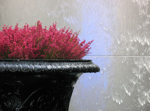 Eastwesthotel_geneva_waterwall