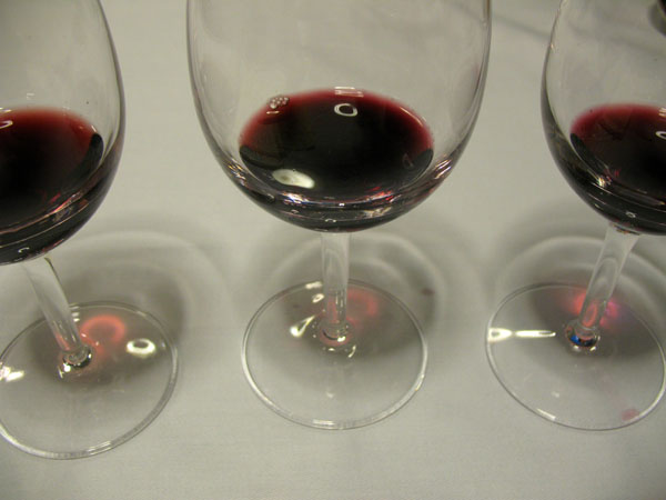 merlot_ticino_1108.jpg