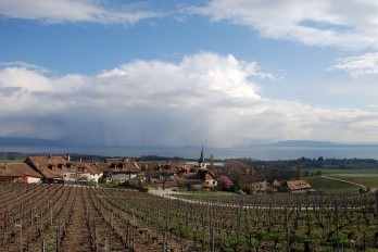 fechy_village_vines_storm_lake_geneva_sm_0408