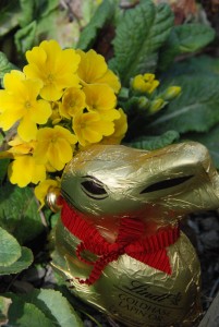 Lindt foil wrapped bunny