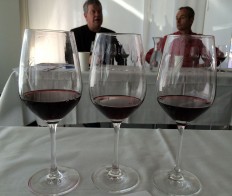 Best winery for three consecutive Merlot vintages, Cantina kopp von der Crone from Ticino: 2009, 10, 11 - most recent is wonderful, will benefit from another year or two