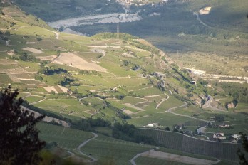 Valais vineyards, Miège and Salgesch, seen from above