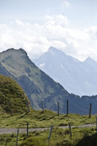 Cool up at the Gotthard peak; jam-packed and hot on the road to the Gotthard tunnel Saturday