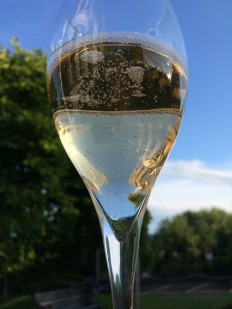 Sparkling wine, "Bartholie brut" from Domaine de la Planta, Geneva