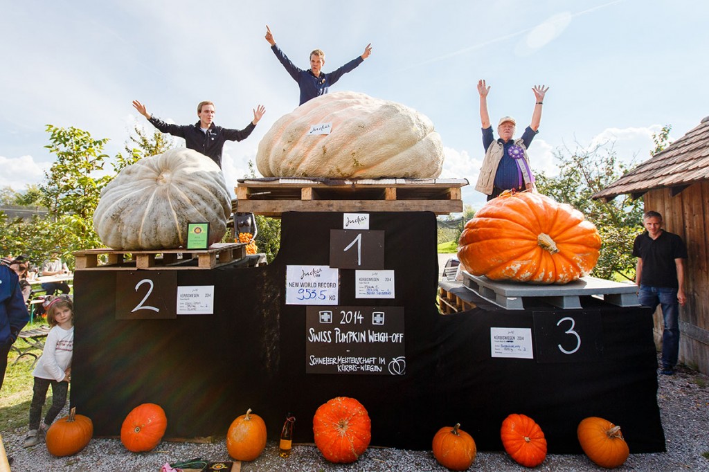 3 top places in the Swiss Pumpkin Weigh-off 2014 (photo, copyright 2014 Nicolas Zonvi)