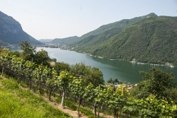 Lake Lugano, viewed from the Rovio wnery, on a pleasant summer day - less daunting than the floody waters of this week