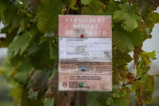 Painful reminder of heavy hail damage in 2013