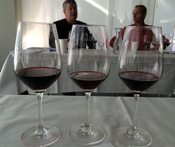 Best winery for three consecutive Merlot vintages, Cantina kopp von der Crone from Ticino: 2009, 10, 11 - most recent is wonderful, will benefit from another year or two