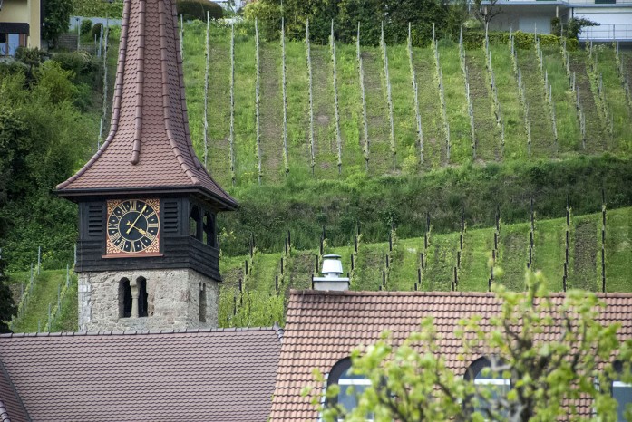 Motier Vully church vines_sm_10514