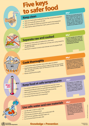 WHO poster food safety 5 keys