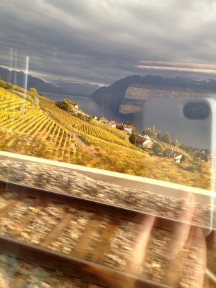 The vineyards of Lavaux, seen from the Lausanne-Bern train