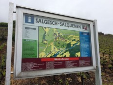 vineyards Salgesch Valais5_020515