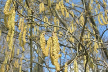 Source: Meteoswiss 2016